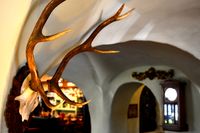 DSC_0009 (2020-09-25T18_12_49.536)